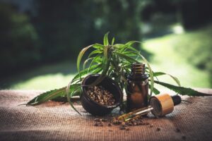 The Benefits of Using Plant-Based Oil